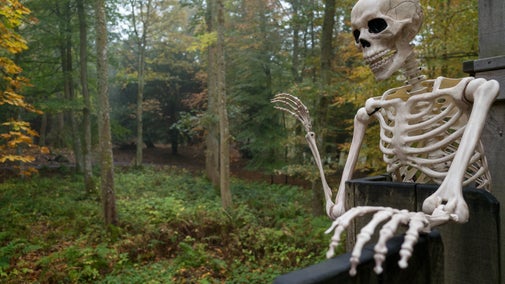 Fake skeleton in the woods